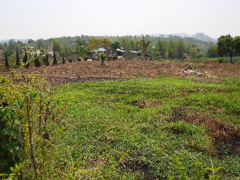 farm view.JPG