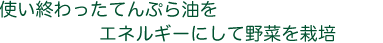日本で世界で一番成功している草の根環境文化運動のひとつ