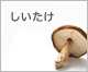 しいたけ