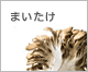 まいたけ