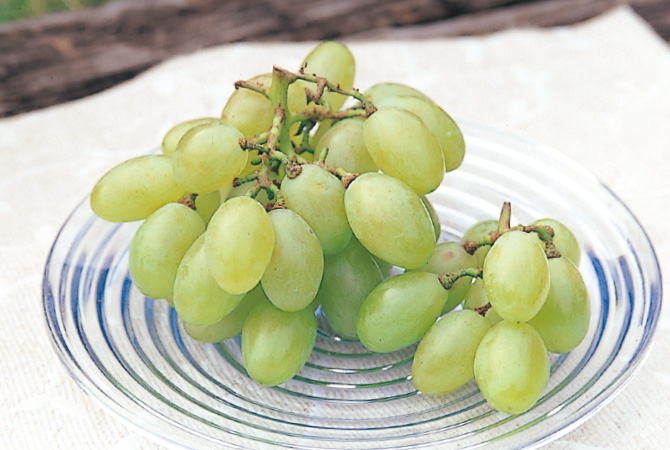 種なしと種あり どっちがおいしい 野菜宅配 有機野菜をお探しの方はこちら 大地を守る会