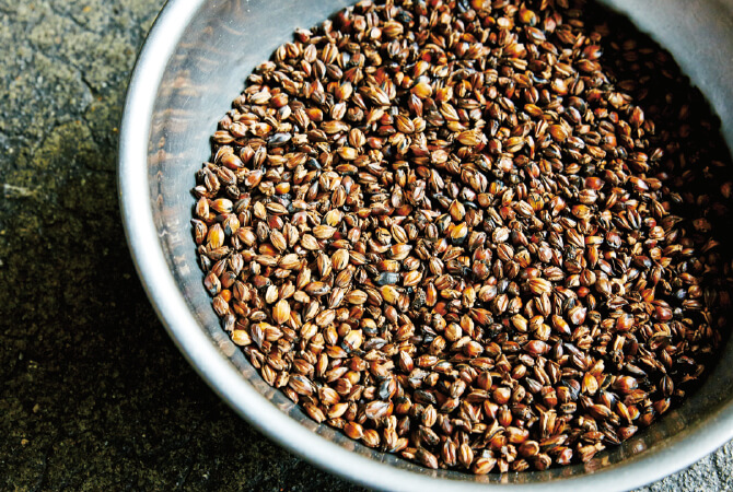 色の濃い麦は香ばしさと苦味の深煎り。浅めの色の麦はほんのり甘い浅煎り