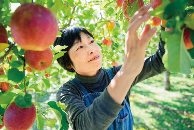 原明子さんは俊朗さんの兄、故・志朗さんのおつれあい。志朗さんから引き継いだりんご栽培に奮闘中