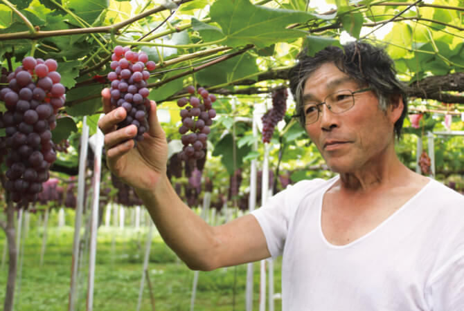 佐藤勘四郎65歳。佐藤果樹園で代表をやってます。