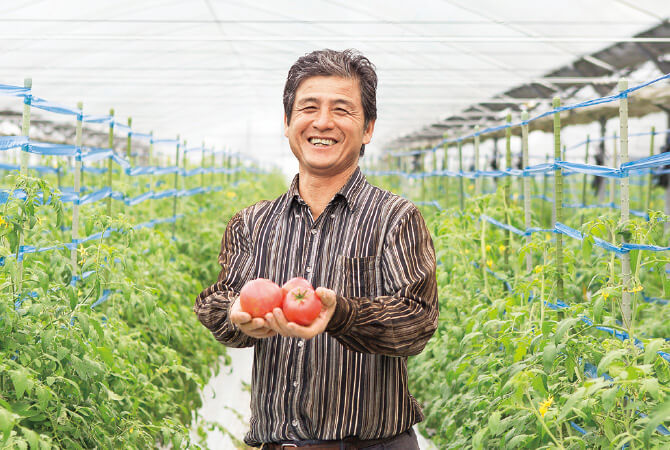 有機トマト生産者、熊本県宇城市 肥後あゆみの会 澤村輝彦さん