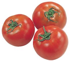 大地を守る会の『水切り栽培のうま夏トマト』
