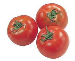 大地を守る会の『水切り栽培のうま夏トマト』