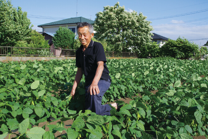 『うま味ふっくら枝豆』の生産者、埼玉県志木市三枝晃男さん