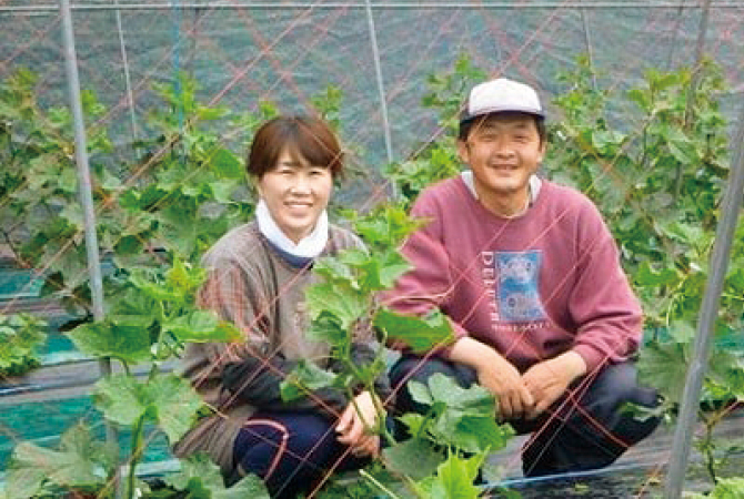 『ズッキーニ』の生産者、群馬県高崎市くらぶち草の会佐藤朝昭さん（右）とおつれあいの和子さん