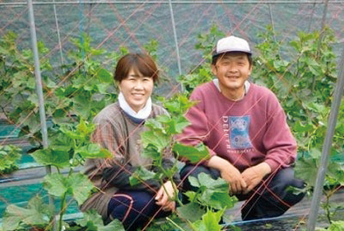 ズッキーニの生産者、群馬県高崎市くらぶち草の会　佐藤朝昭さん（右）とおつれあいの和子さん
