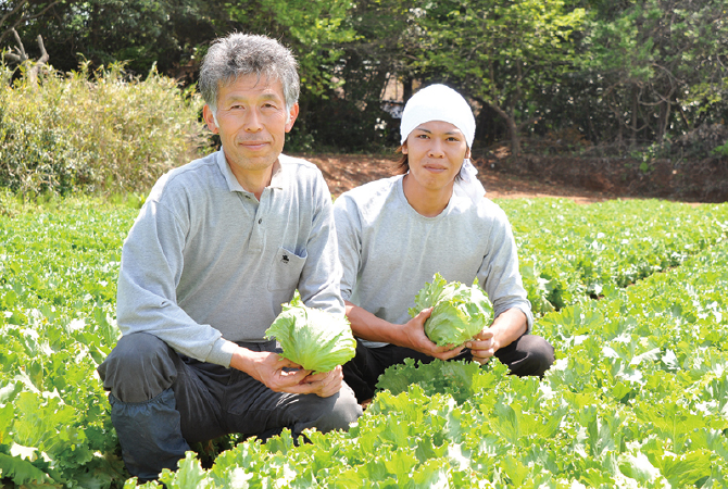 飯塚一実さんの秋採れレタス生産者、茨城県坂東市　飯塚一実さん（左）と息子の雅弘さん
