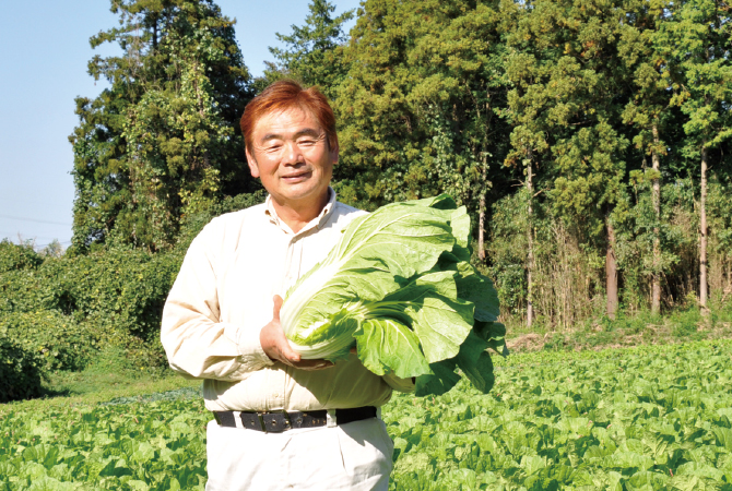 白菜生産者、茨城県八千代町　小野寺孝一さん
