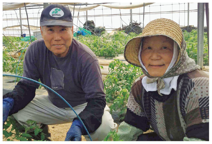 水切り栽培のうま夏トマト生産者、福島県玉川村 福島わかば会 高林邦男さんと廣子さん