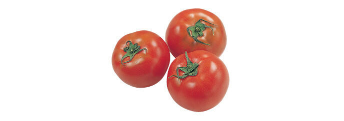 水切り栽培のうま夏トマト