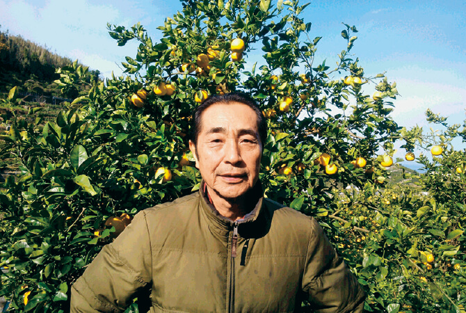 果汁を食べる河内晩柑生産者、熊本県熊本市 ブレス 東勝徳さん