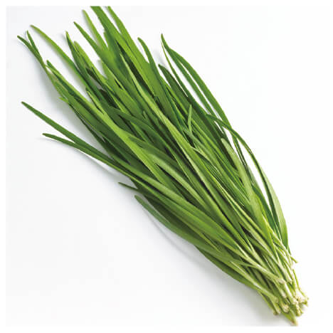 ニラ栽培で一番こだわっているのは 堆肥と米ぬかを使った土作り 野菜宅配 有機野菜をお探しの方はこちら 大地を守る会