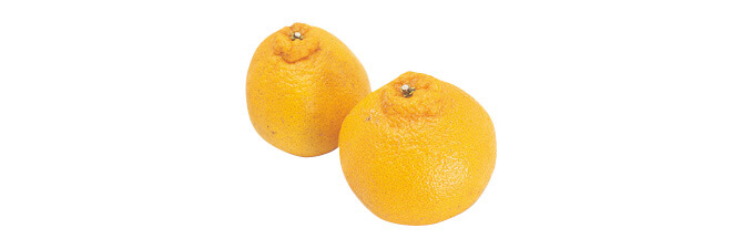 しらぬい（柑橘）