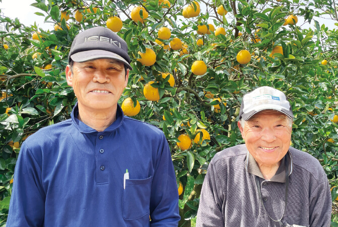 果汁を食べる河内晩柑生産者、愛媛県西予市 無茶々園 下田道雄さん・透さん（左）