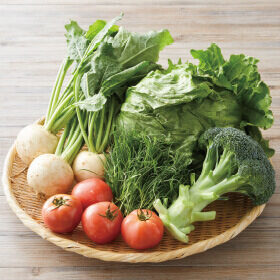 「【122号・123号限定】初夏の食卓彩り野菜セット」をお届けします。