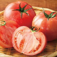 水切り栽培のトマト