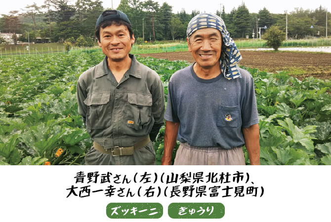 ズッキーニ、きゅうりの生産者、青野武さん（左）（山梨県北杜市）・大西幸一さん（右）（長野県藤見町）