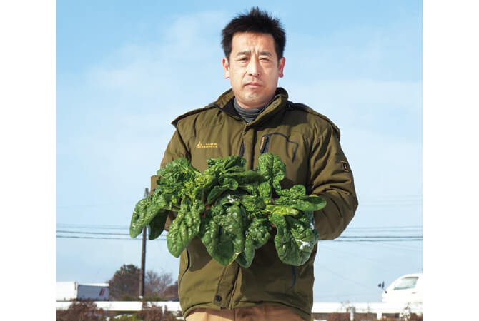 寒ちぢみほうれんそう生産者、福島県福島市 福島わかば会 佐々木寛之さん