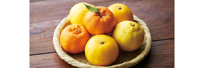 柑橘食べ比べセット イメージ写真