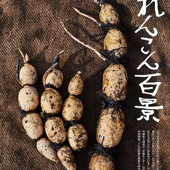 NEWS大地を守る2月号】れんこん百景 | 野菜宅配・有機野菜をお探しの方
