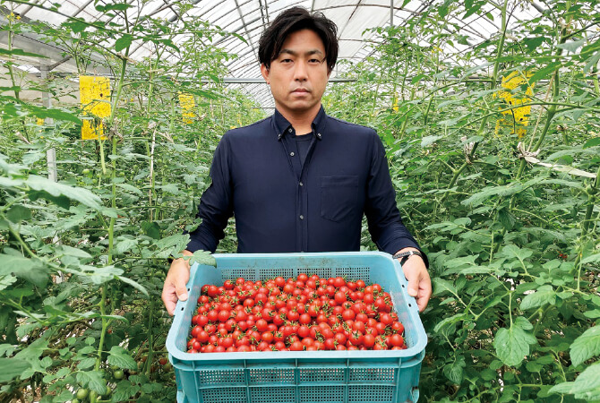 徳島・井口さんのまいにちトマト生産者、高生連 井口賀夫さん(徳島県美馬市)