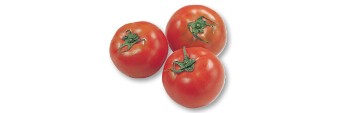 徳島・井口さんのまいにちトマト