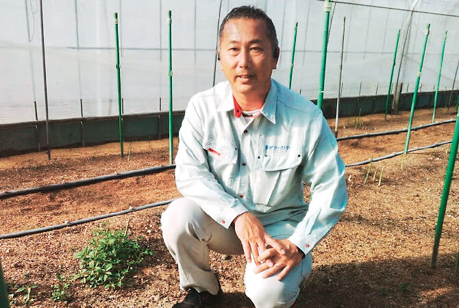 さっと炒めて グリーンアスパラガス生産者、熊本セーフティベジフル 山口隆博さん(熊本県八代郡)