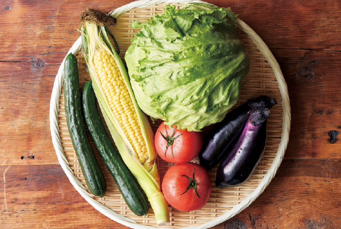夏の食卓彩り野菜セット セット例