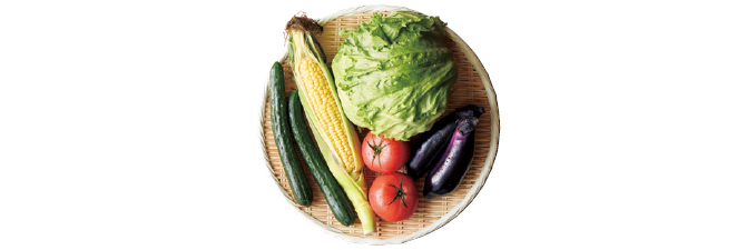 夏の食卓彩り野菜セット