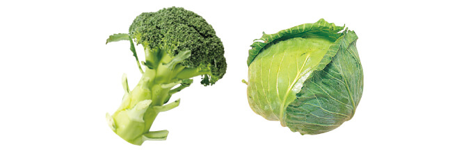 夏の健康維持にも◎高原育ちのシャキ甘キャベツ&ブロッコリーのセット