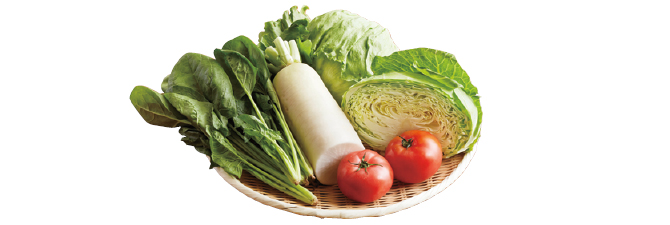 寒暖差がおいしさの秘訣 夏の高原野菜セットセット例