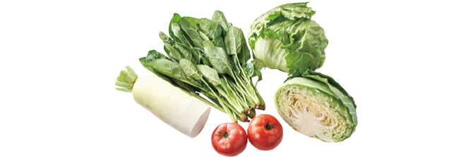 寒暖差がおいしさの秘訣 夏の高原野菜セット セット例