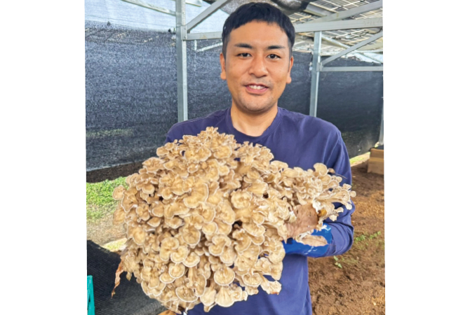 原木まいたけ生産者、きらな農園 小林享平さん(岐阜県美濃加茂市)