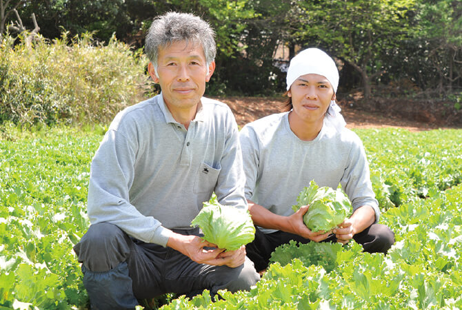 飯塚一実さんの秋採れレタス生産者、飯塚一実さんと息子の雅弘さん(茨城県坂東市)