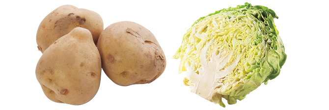毎日の食卓を支える定番野菜 じゃがいも&キャベツのセット