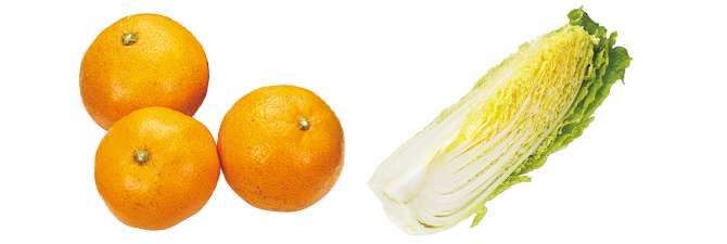 意外とサラダやお鍋にも◎ 温州みかん&白菜1/4のセット