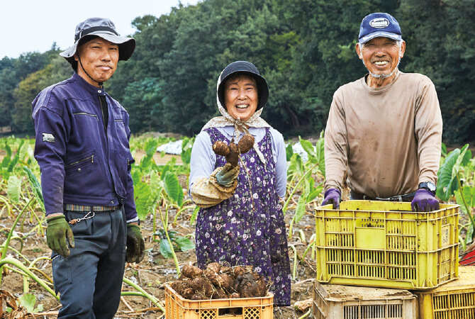 里芋の生産者、吉沢重造さんと妻のとみ子さん(中央)、息子の重幸さん(左)(埼玉県川越市)
