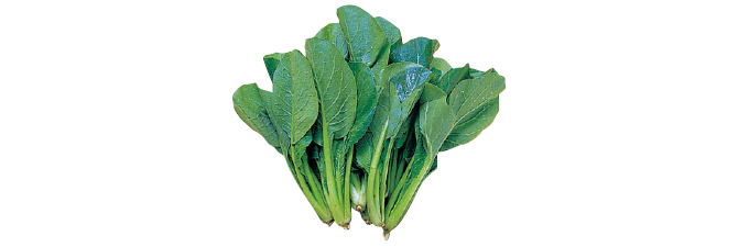 小松菜