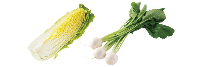 煮込んでとろとろ かぶ&白菜1/4のセット