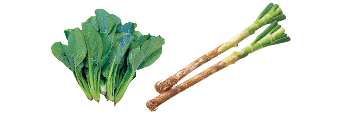 お味噌汁から炒め物まで 小松菜と長ねぎのセット