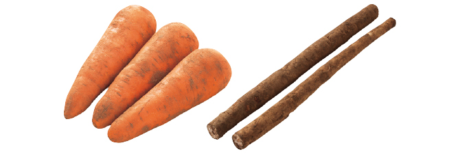 サラダでも煮物でも◎ 人参&ごぼうのセット