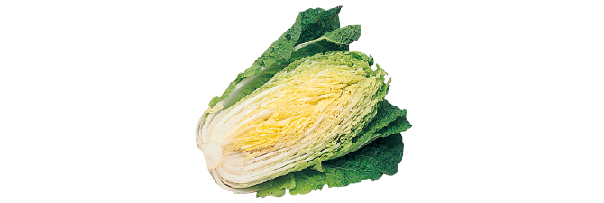 白菜