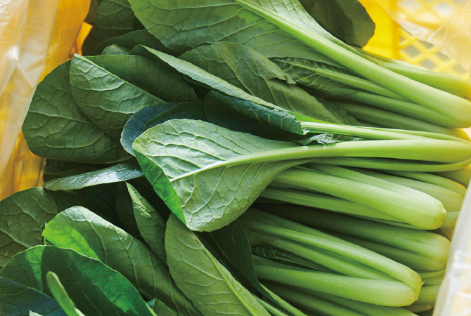 小松菜イメージ画像