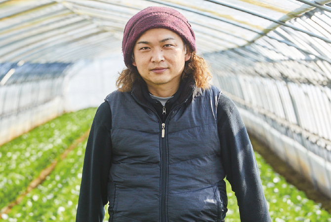 小松菜の生産者、ふしちゃんファーム 伏田直弘さん(茨城県つくば市)