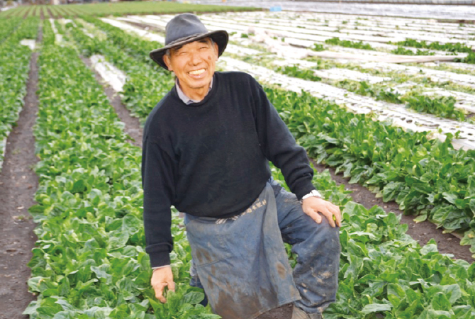 川越育ちのめちゃ甘ほうれんそう生産者、吉沢重造さん(埼玉県川越市)