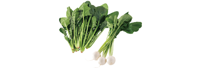 素材本来の、やわらかな甘み めちゃ甘ほうれんそう&かぶのセット